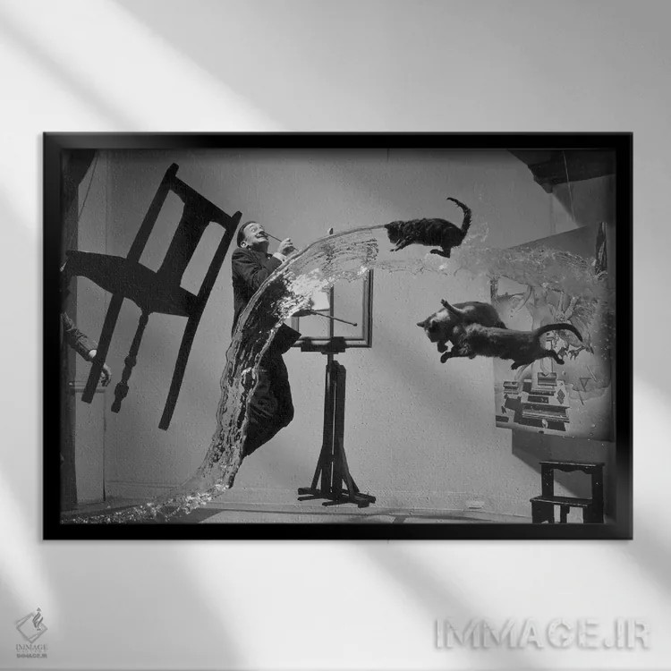 تابلو دکوراتیو سالوادور دالی اثر فیلیپ هالسمن - نمای قابدار مشکی