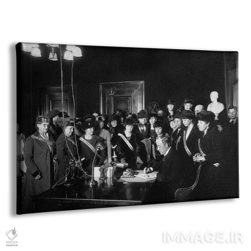 تابلو دکوراتیو متمم نوزدهم قانون اساسی آمریکا، ۱۹۲۰ - نمای پرسپکتیو محصول