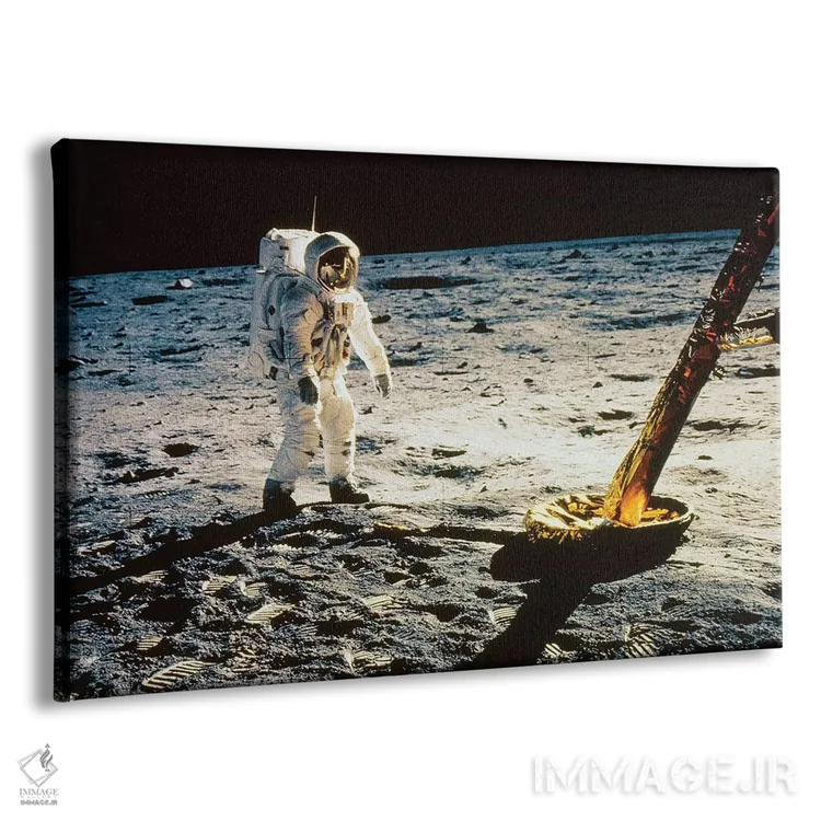 تابلو دکوراتیو آپو ۱۱: ماژول قمری - نمای پرسپکتیو محصول