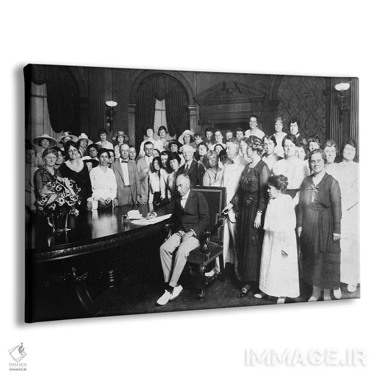 تابلو دکوراتیو 1919,تصویب نوزدهمین اصلاحیه قانون اساسی آمریکا، ۱۹۱۹ اثر کارل دگ - نمای پرسپکتیو محصول