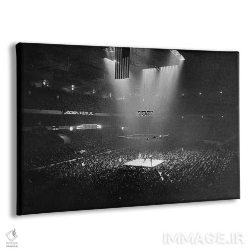 تابلو دکوراتیو 1941,مسابقه بوکس، ۱۹۴۱ - نمای پرسپکتیو محصول