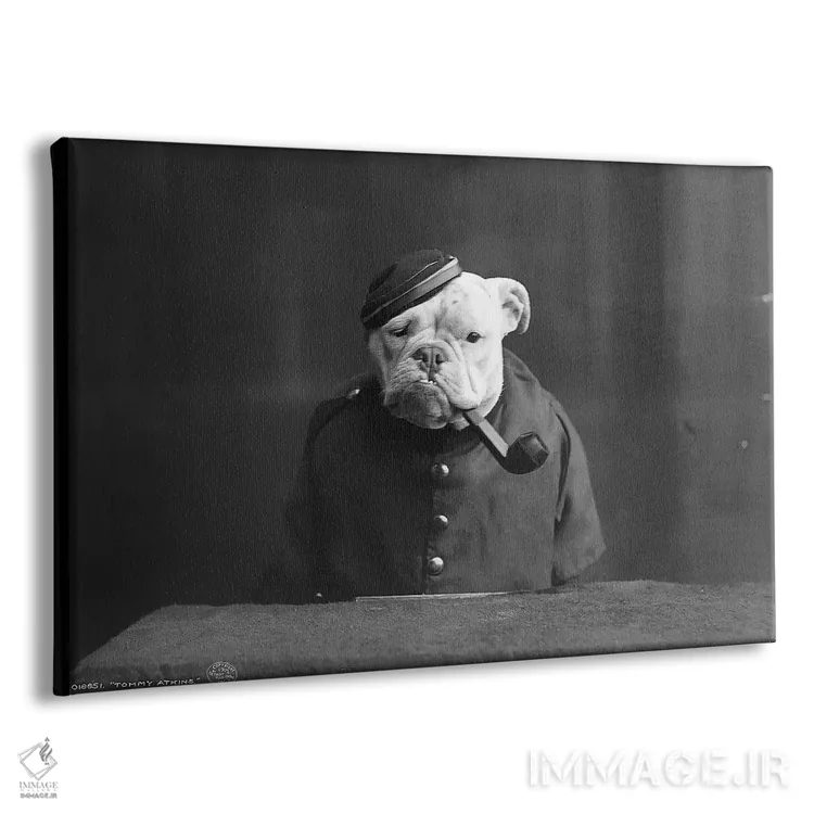 تابلو دکوراتیو C1905,بولداگ، حدود ۱۹۰۵ - نمای پرسپکتیو محصول