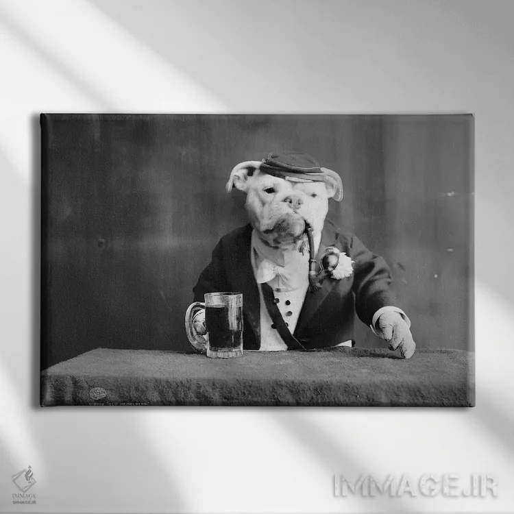 تابلو دکوراتیو C1905,بولداگ، حدود ۱۹۰۵ - نمای روبهرو روی دیوار