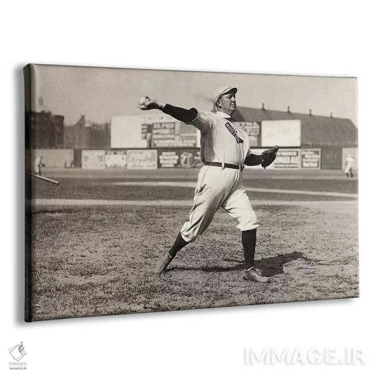 تابلو دکوراتیو سای یونگ - نمای پرسپکتیو محصول