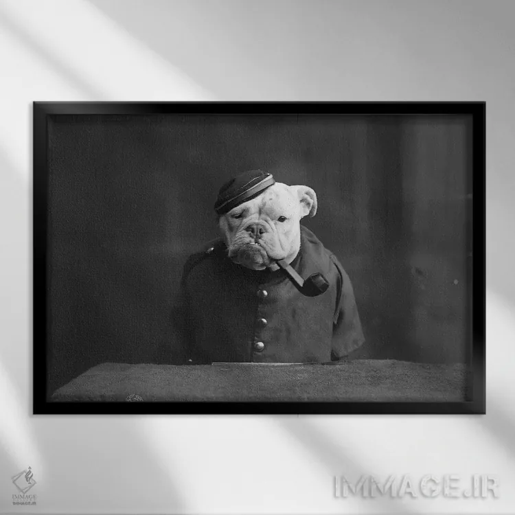 تابلو دکوراتیو C1905,بولداگ، حدود ۱۹۰۵ - نمای قابدار مشکی