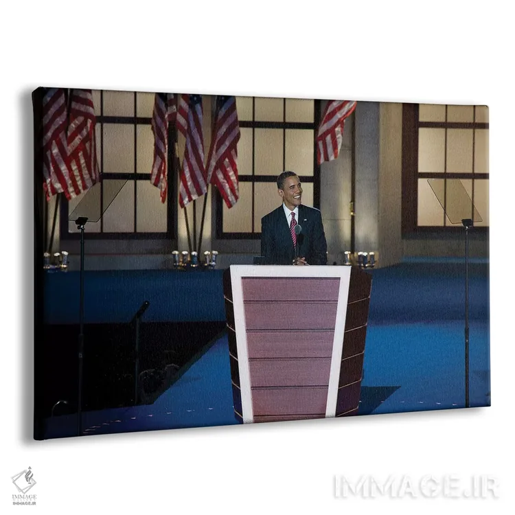 تابلو دکوراتیو 2008,باراک اوباما، ۲۰۰۸ اثر کارول ام. های اسمیت - نمای پرسپکتیو محصول