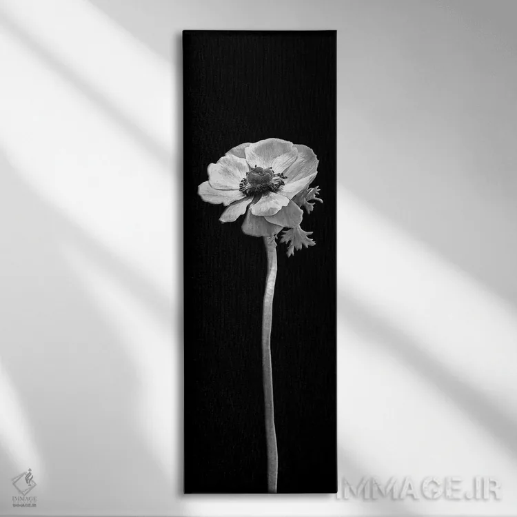 تابلو دکوراتیو شقایق دریایی تاج دار | طراحی پانورامای تیره اثر ملانی ویولا - نمای روبهرو روی دیوار