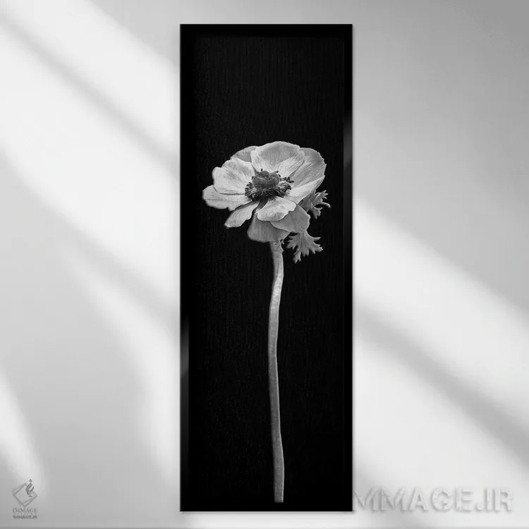 تابلو دکوراتیو شقایق دریایی تاج دار | طراحی پانورامای تیره اثر ملانی ویولا - نمای قابدار مشکی