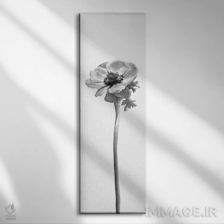 تابلو دکوراتیو شقایق دریایی تاج دار | طراحی پانورامای روشن اثر ملانی ویولا - نمای روبهرو روی دیوار