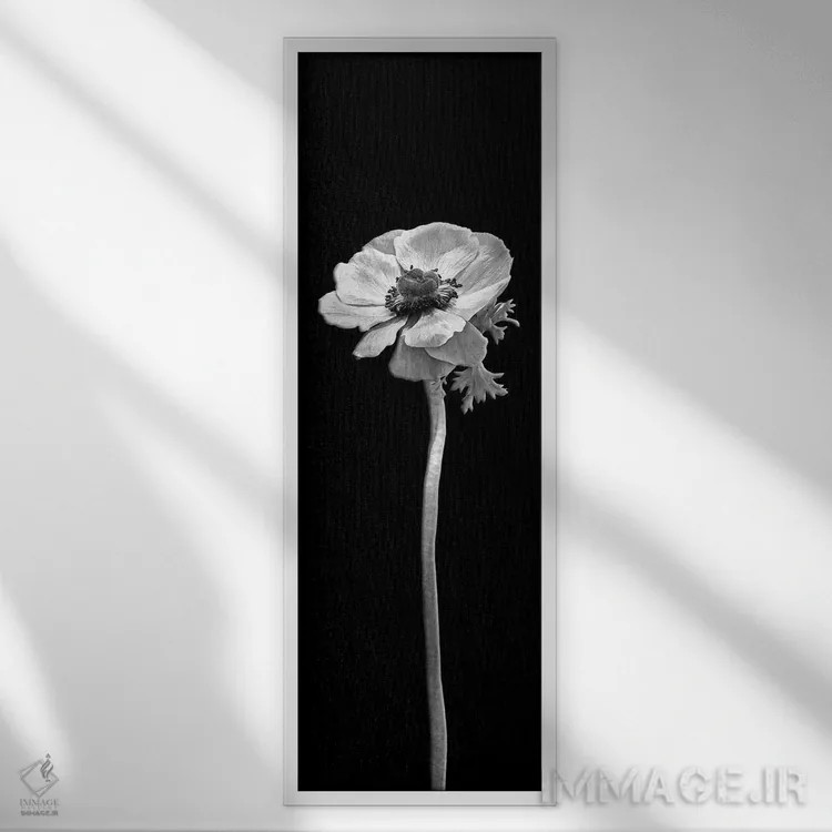 تابلو دکوراتیو شقایق دریایی تاج دار | طراحی پانورامای تیره اثر ملانی ویولا - نمای قابدار سفید