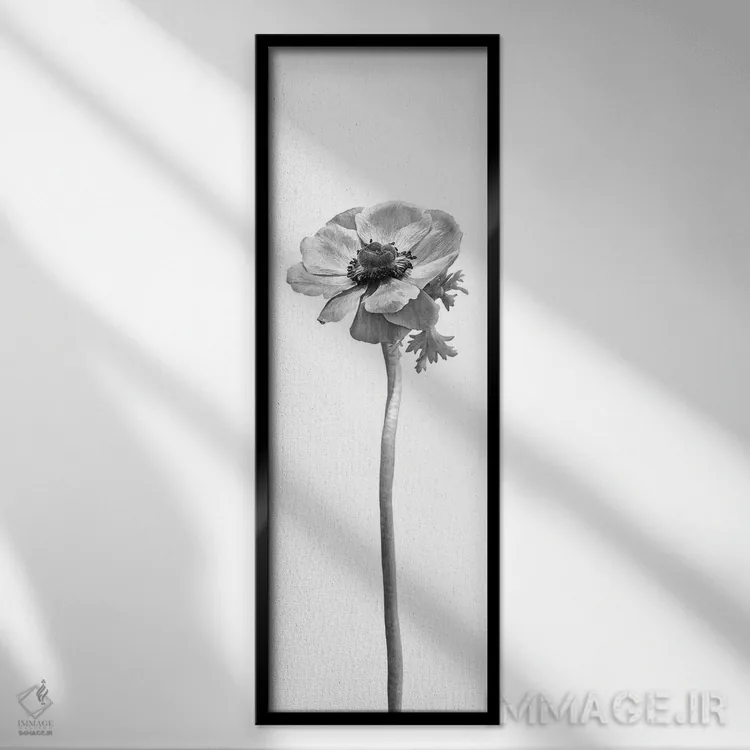 تابلو دکوراتیو شقایق دریایی تاج دار | طراحی پانورامای روشن اثر ملانی ویولا - نمای قابدار مشکی