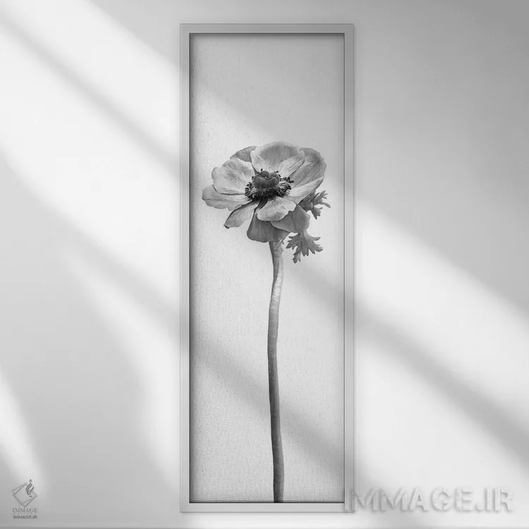 تابلو دکوراتیو شقایق دریایی تاج دار | طراحی پانورامای روشن اثر ملانی ویولا - نمای قابدار سفید