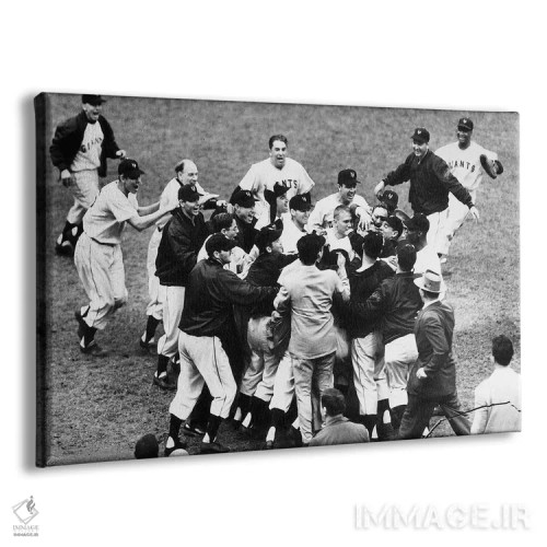 تابلو دکوراتیو 1951,هوم ران تامسون، ۱۹۵۱ - نمای پرسپکتیو محصول