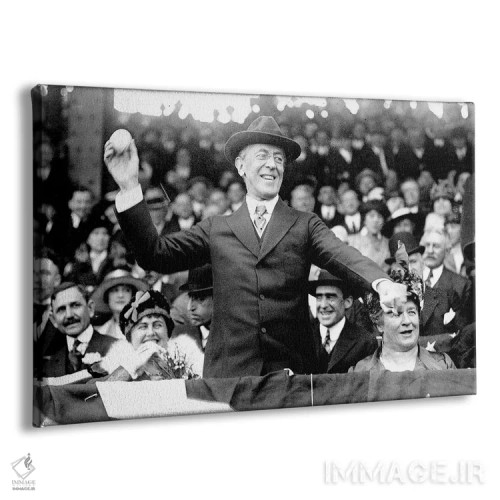 تابلو دکوراتیو وودرو ویلسون - نمای پرسپکتیو محصول