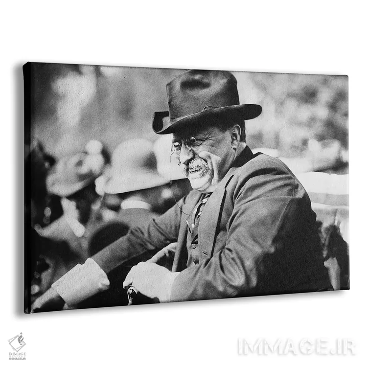 تابلو دکوراتیو تئودور روزولت - نمای پرسپکتیو محصول