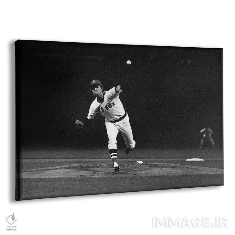 تابلو دکوراتیو 1975,سری جهانی بیسبال، ۱۹۷۵ - نمای پرسپکتیو محصول