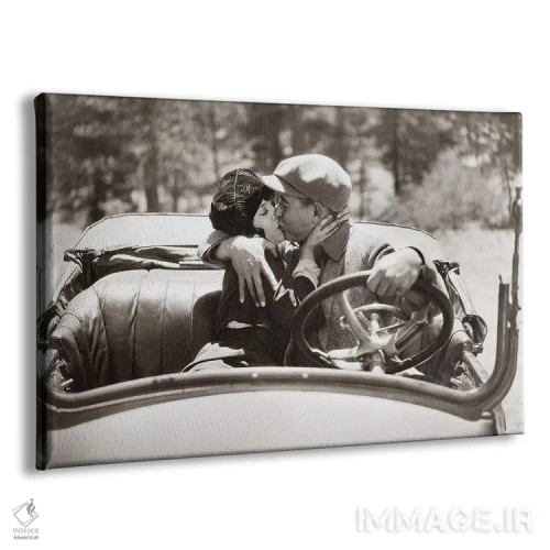 تابلو دکوراتیو نما ثابت از فیلم صامت - نمای پرسپکتیو محصول