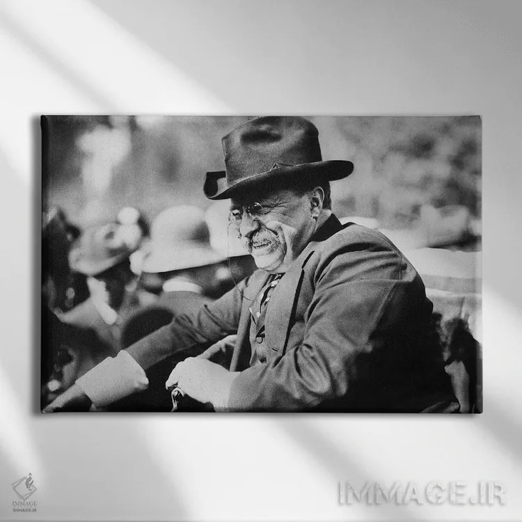 تابلو دکوراتیو تئودور روزولت - نمای روبهرو روی دیوار