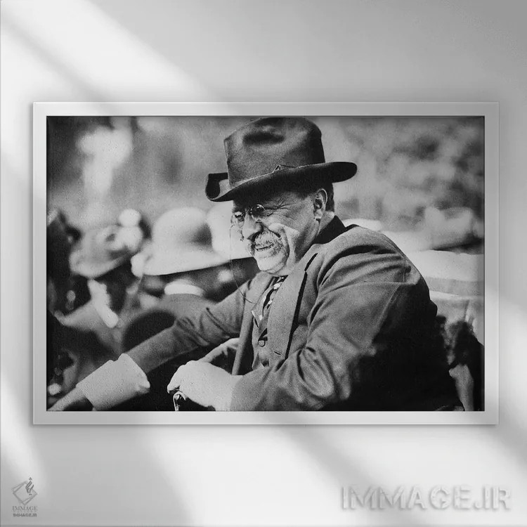 تابلو دکوراتیو تئودور روزولت - نمای قابدار سفید