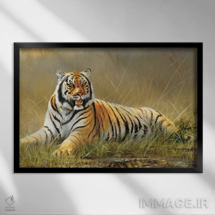 تابلو دکوراتیو ببر اثر گرانت هکینگ - نمای قابدار مشکی