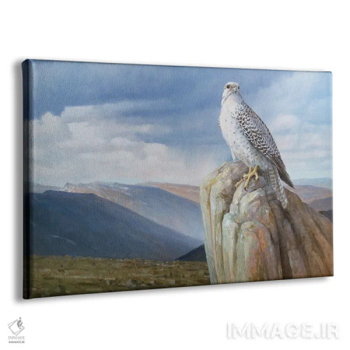 تابلو دکوراتیو سرزمین رام نشده اثر گرانت هکینگ - نمای پرسپکتیو محصول