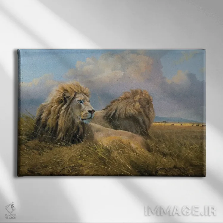 تابلو دکوراتیو شیرها زیر آسمان آفریقا اثر گرانت هکینگ - نمای روبهرو روی دیوار