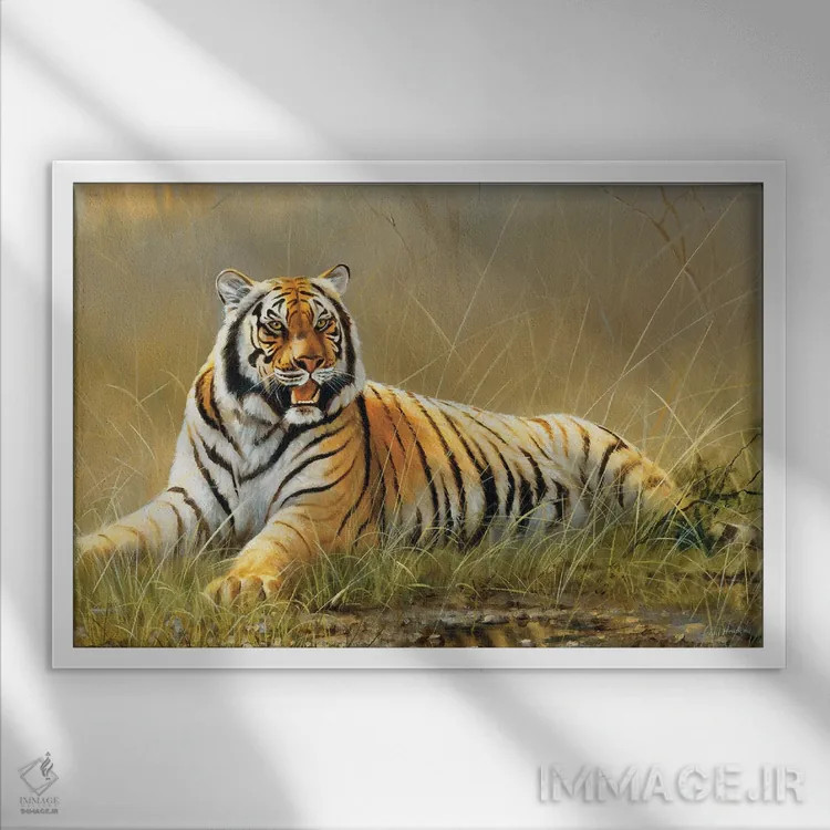 تابلو دکوراتیو ببر اثر گرانت هکینگ - نمای قابدار سفید