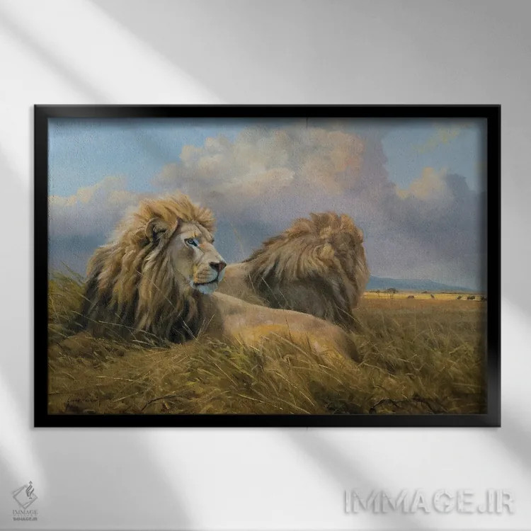 تابلو دکوراتیو شیرها زیر آسمان آفریقا اثر گرانت هکینگ - نمای قابدار مشکی