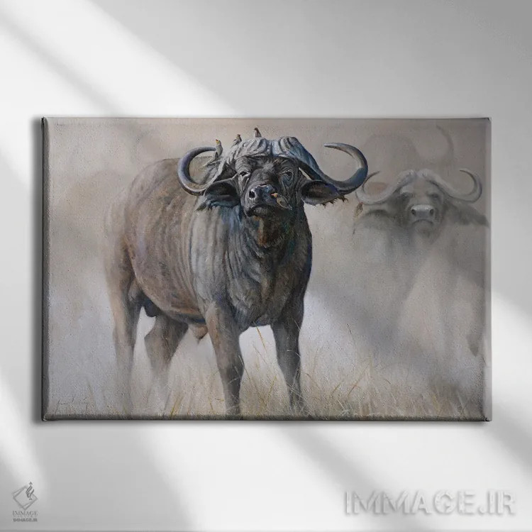 تابلو دکوراتیو گاومیش آبی اثر گرانت هکینگ - نمای روبهرو روی دیوار