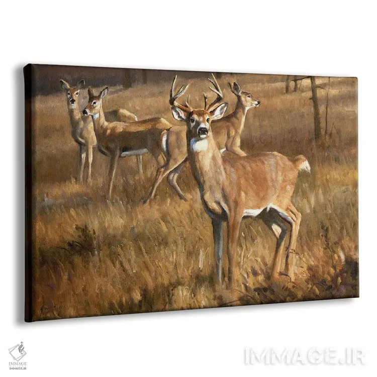 تابلو دکوراتیو گوزن دم سفید اثر گرانت هکینگ - نمای پرسپکتیو محصول