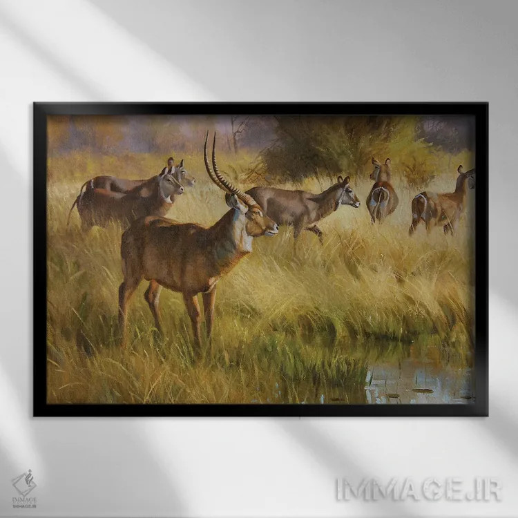 تابلو دکوراتیو آب دوست اثر گرانت هکینگ - نمای قابدار مشکی