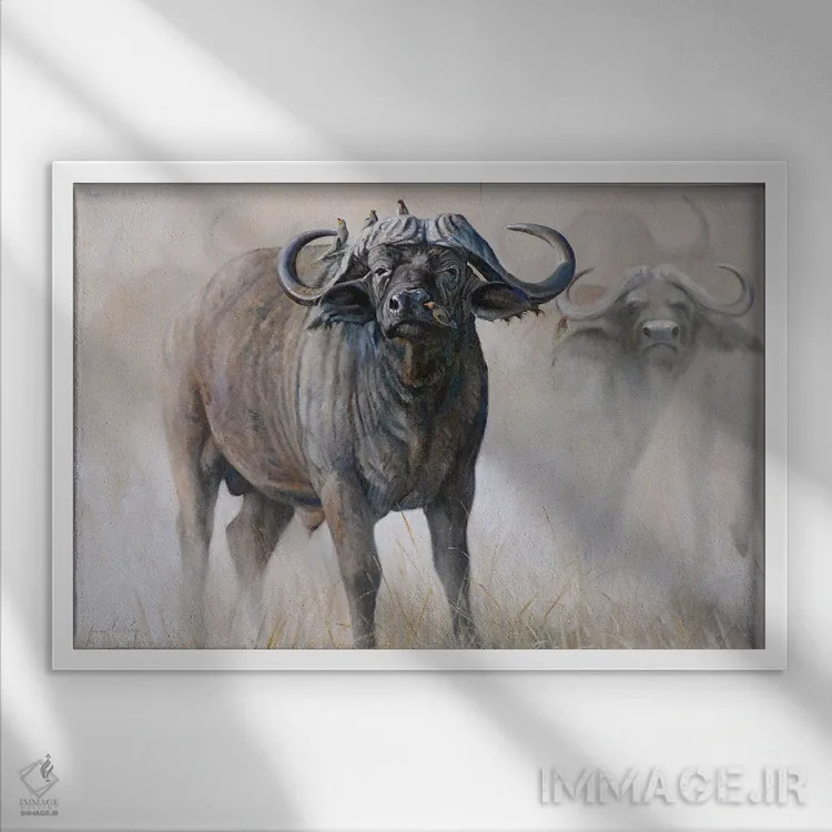 تابلو دکوراتیو گاومیش آبی اثر گرانت هکینگ - نمای قابدار سفید