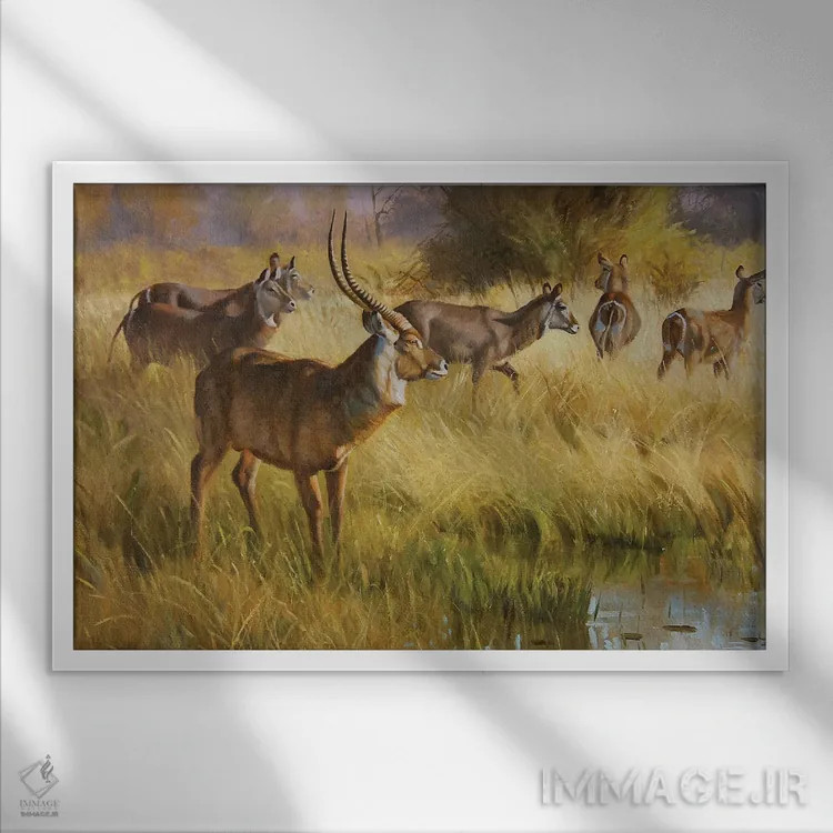 تابلو دکوراتیو آب دوست اثر گرانت هکینگ - نمای قابدار سفید