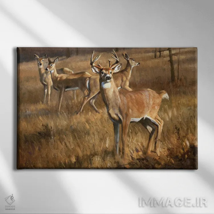 تابلو دکوراتیو گوزن دم سفید اثر گرانت هکینگ - نمای روبهرو روی دیوار