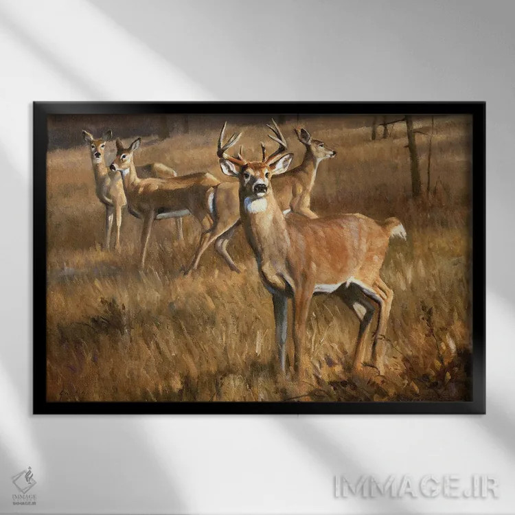 تابلو دکوراتیو گوزن دم سفید اثر گرانت هکینگ - نمای قابدار مشکی