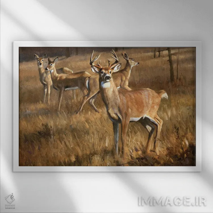 تابلو دکوراتیو گوزن دم سفید اثر گرانت هکینگ - نمای قابدار سفید