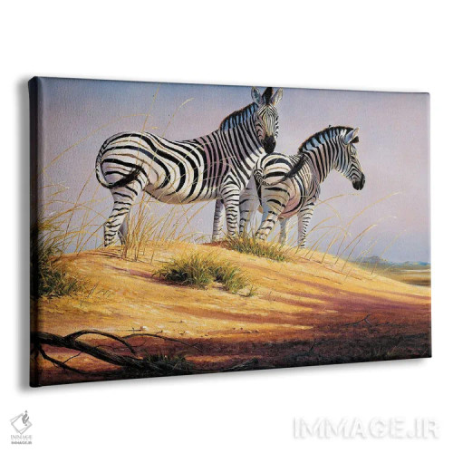 تابلو دکوراتیو گورخرهای نامیبیا اثر گرانت هکینگ - نمای پرسپکتیو محصول