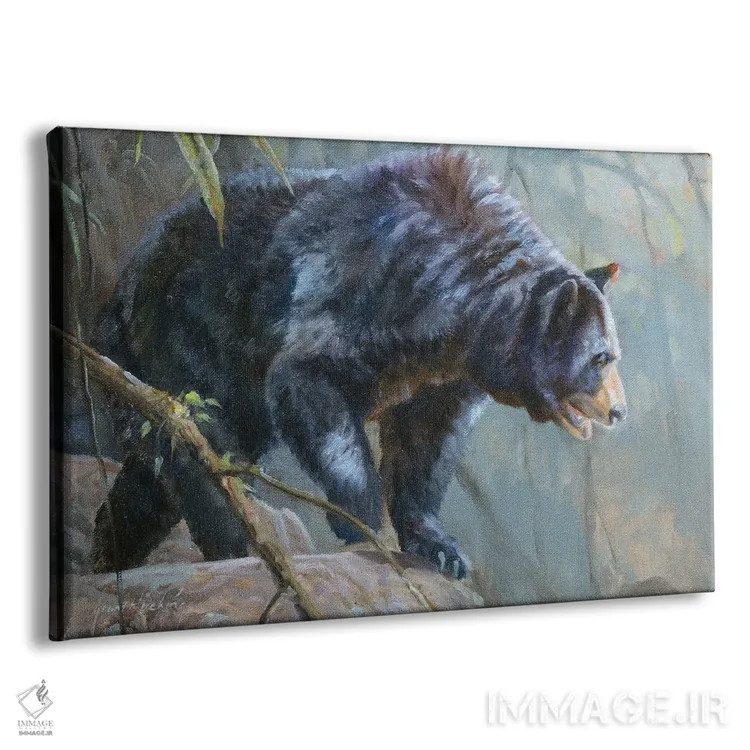 تابلو دکوراتیو خرس سیاه اثر گرانت هکینگ - نمای پرسپکتیو محصول