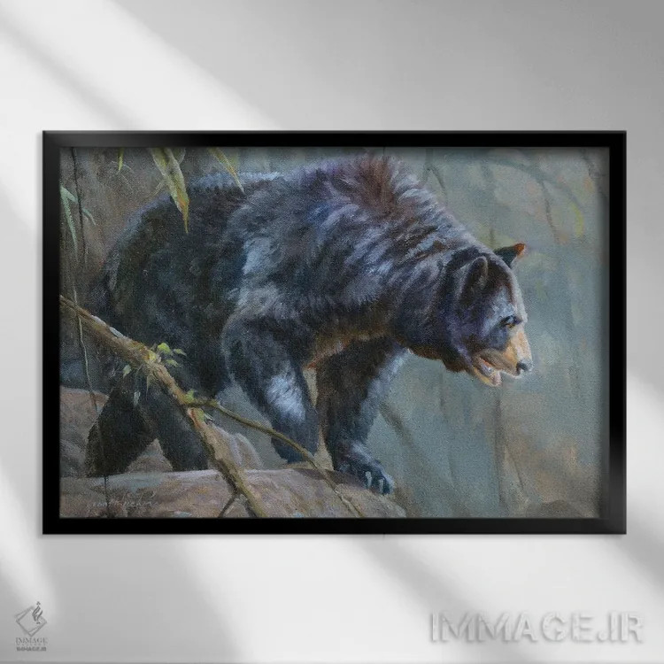 تابلو دکوراتیو خرس سیاه اثر گرانت هکینگ - نمای قابدار مشکی