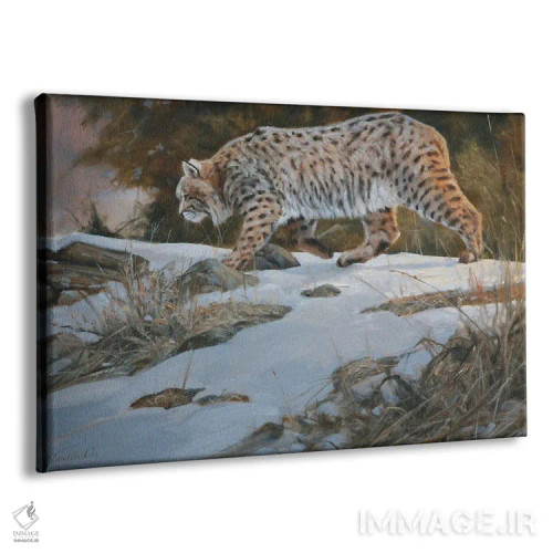 تابلو دکوراتیو بوبکت اثر گرانت هکینگ - نمای پرسپکتیو محصول