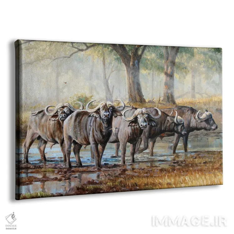 تابلو دکوراتیو گاومیش دماغه اثر گرانت هکینگ - نمای پرسپکتیو محصول