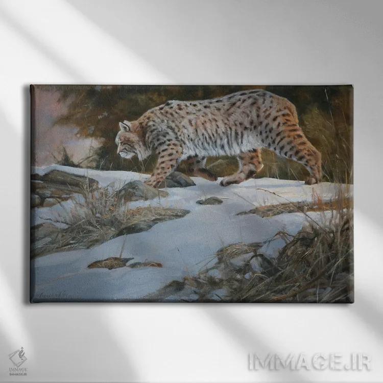 تابلو دکوراتیو بوبکت اثر گرانت هکینگ - نمای روبهرو روی دیوار