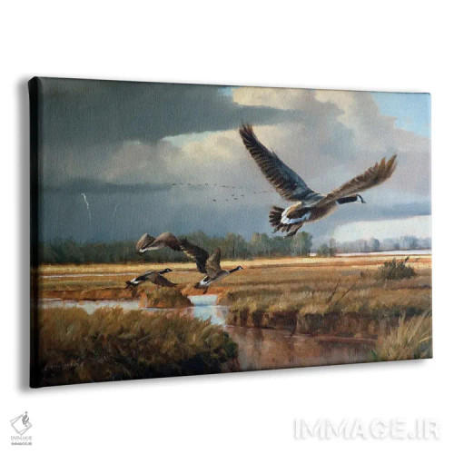 تابلو دکوراتیو تغییر آب و هوا - غازهای کانادایی اثر گرانت هکینگ - نمای پرسپکتیو محصول