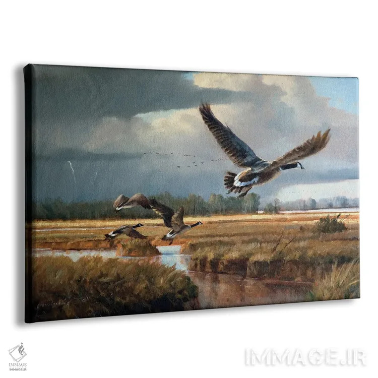 تابلو دکوراتیو تغییر آب و هوا - غازهای کانادایی اثر گرانت هکینگ - نمای پرسپکتیو محصول