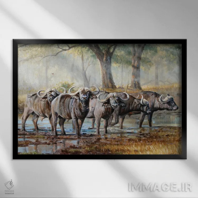 تابلو دکوراتیو گاومیش دماغه اثر گرانت هکینگ - نمای قابدار مشکی