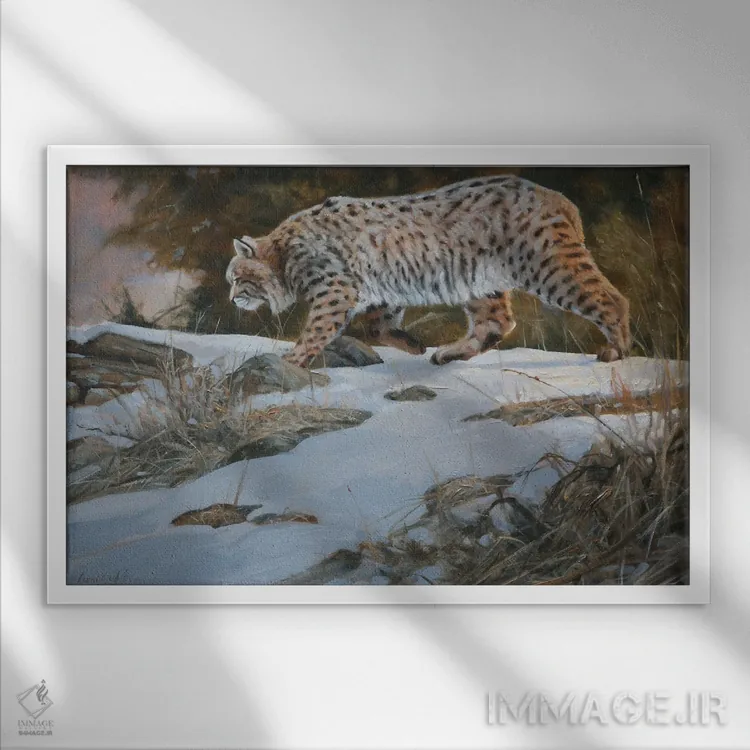 تابلو دکوراتیو بوبکت اثر گرانت هکینگ - نمای قابدار سفید