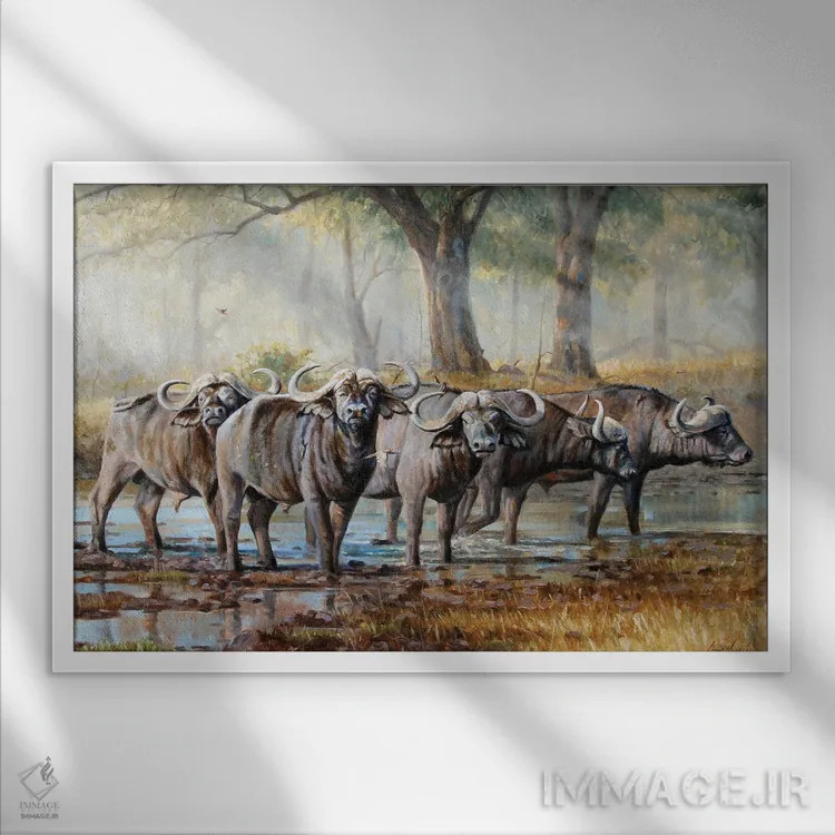 تابلو دکوراتیو گاومیش دماغه اثر گرانت هکینگ - نمای قابدار سفید