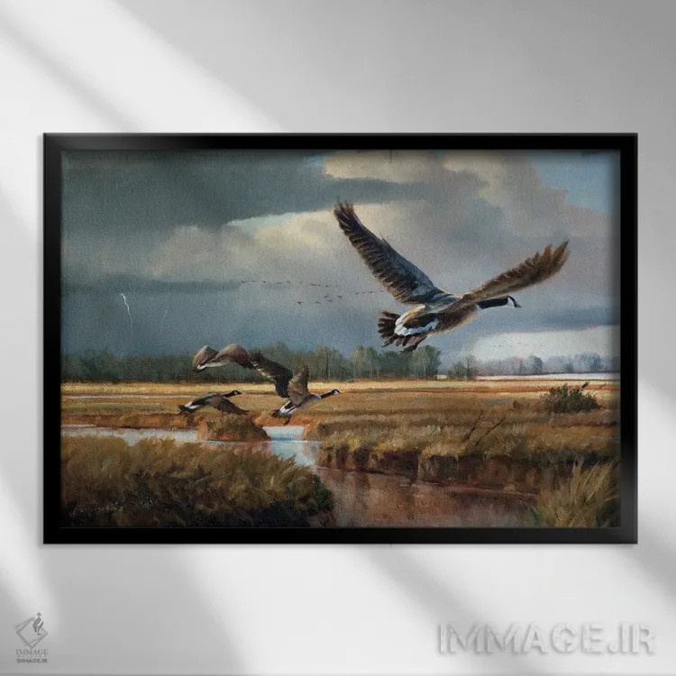 تابلو دکوراتیو تغییر آب و هوا - غازهای کانادایی اثر گرانت هکینگ - نمای قابدار مشکی