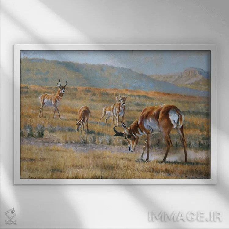 تابلو دکوراتیو چالش صادر شد اثر گرانت هکینگ - نمای قابدار سفید