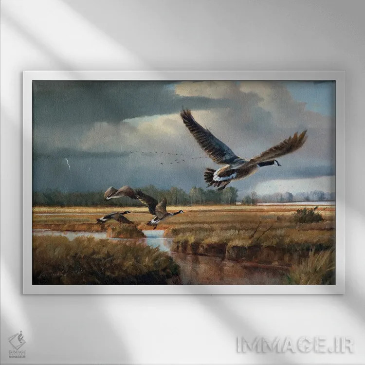 تابلو دکوراتیو تغییر آب و هوا - غازهای کانادایی اثر گرانت هکینگ - نمای قابدار سفید